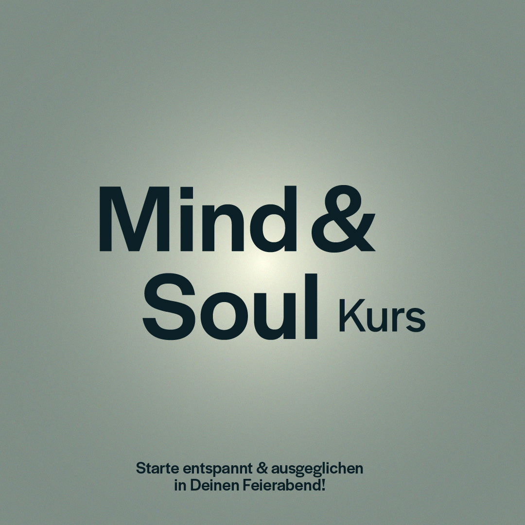 Mind & Soul Kurs